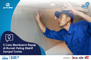 5 Cara Membasmi Rayap di Rumah Paling Efektif Sampai Tuntas