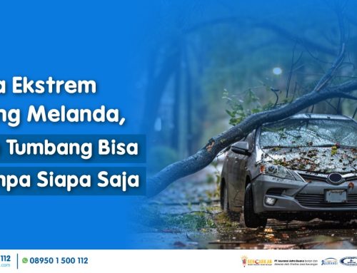 Cuaca Ekstrem sedang Melanda, Pohon Tumbang Bisa Menimpa Siapa Saja!